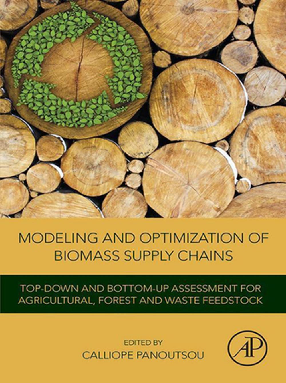 Big bigCover of Modeling and Optimization of Biomass Supply Chains