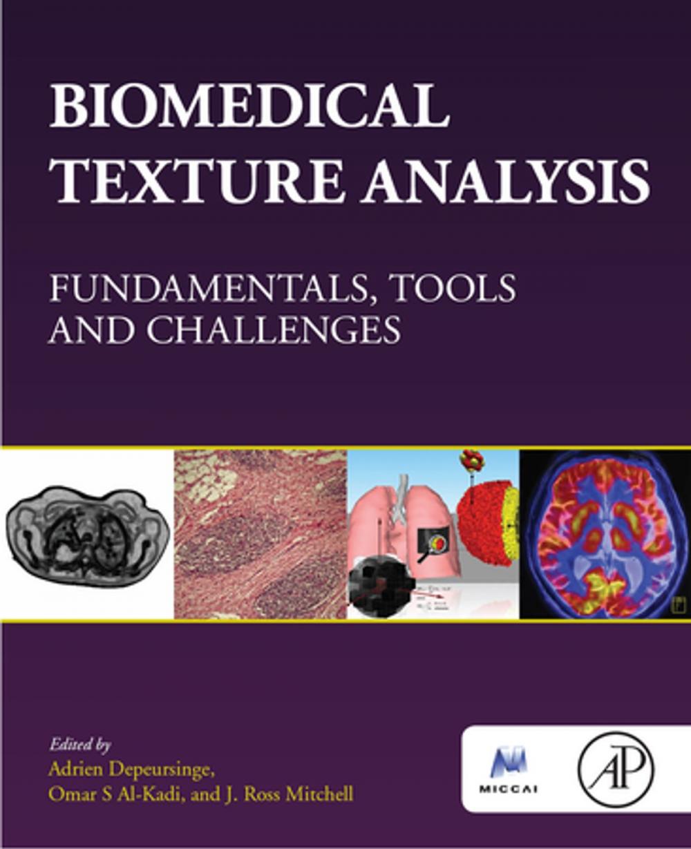 Big bigCover of Biomedical Texture Analysis