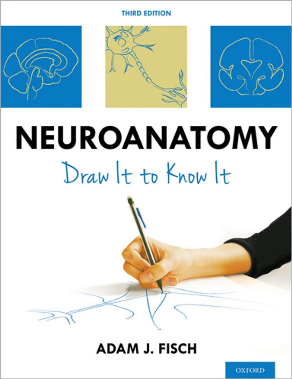 Big bigCover of Neuroanatomy