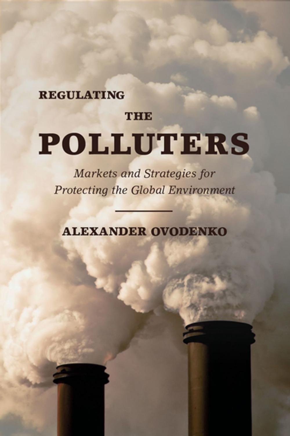 Big bigCover of Regulating the Polluters