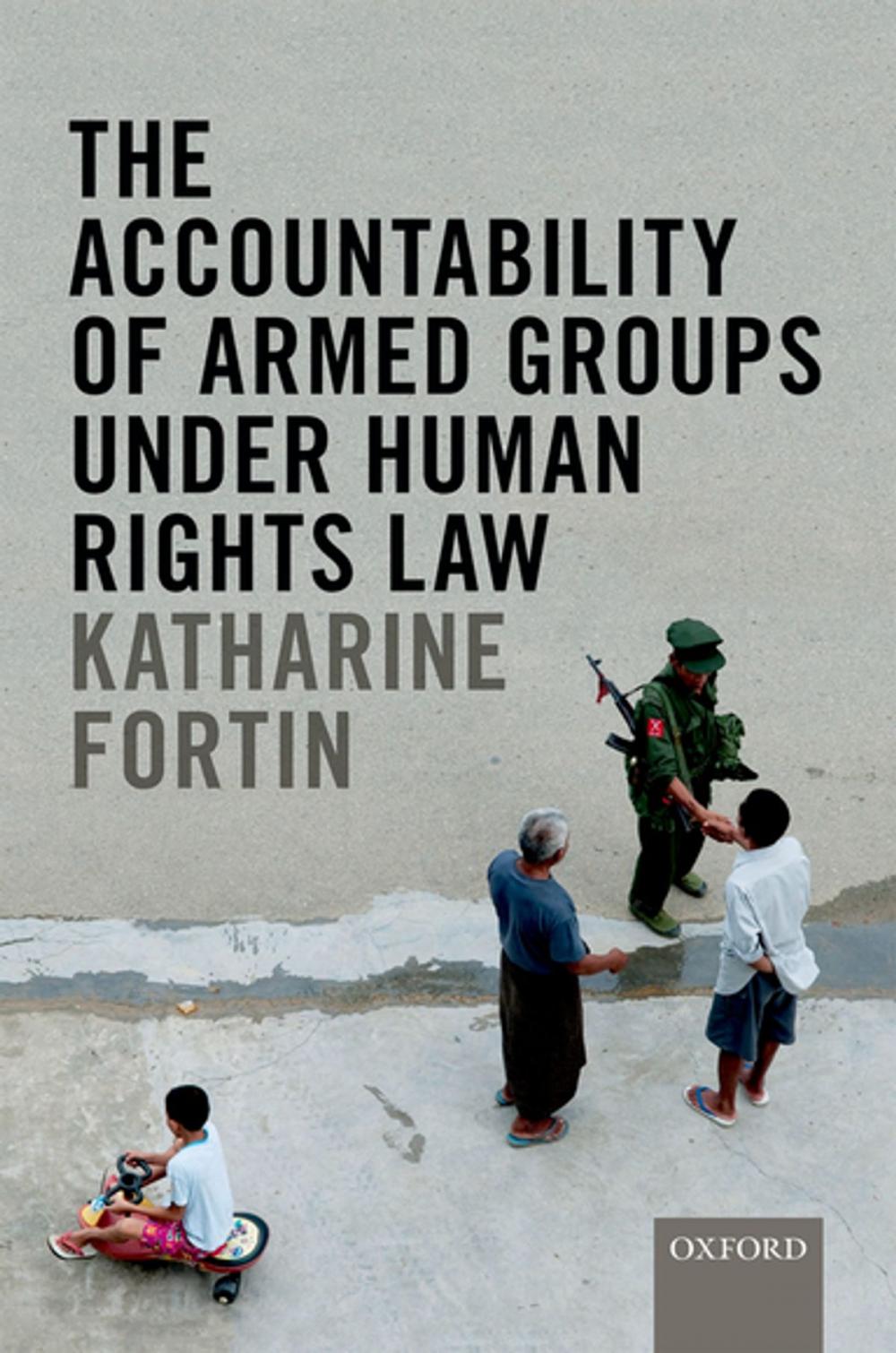 Big bigCover of The Accountability of Armed Groups under Human Rights Law