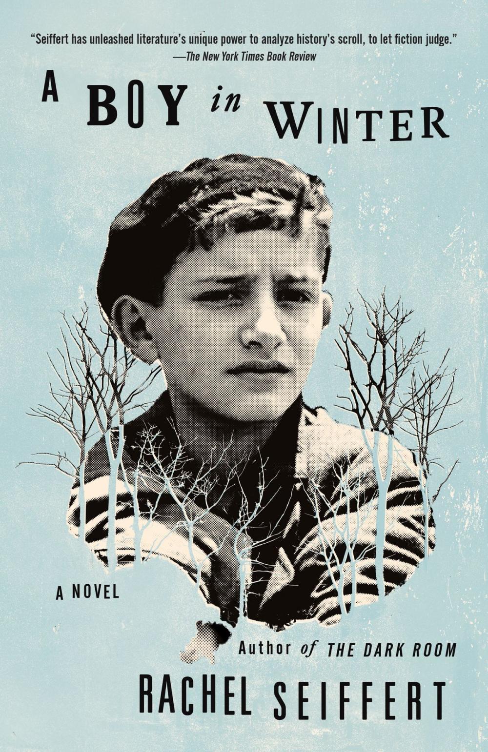 Big bigCover of A Boy in Winter