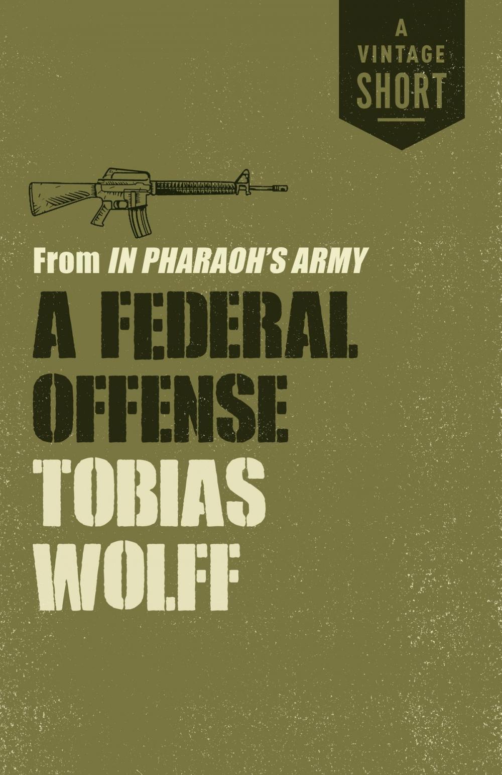 Big bigCover of A Federal Offense