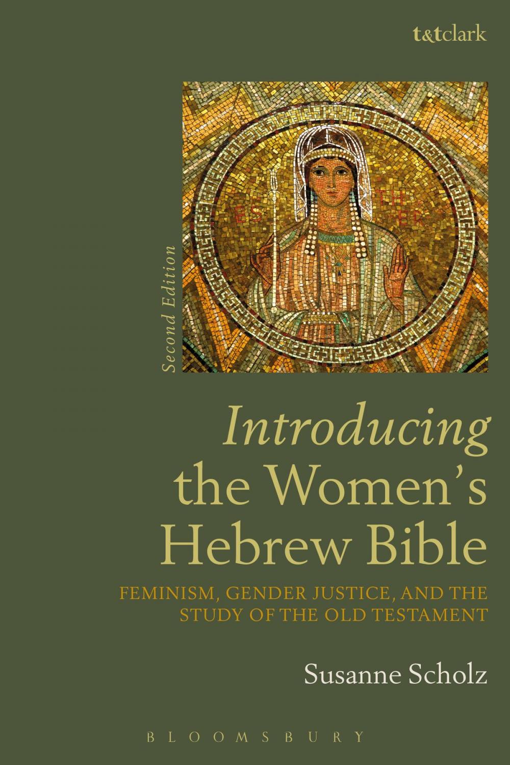 Big bigCover of Introducing the Women's Hebrew Bible