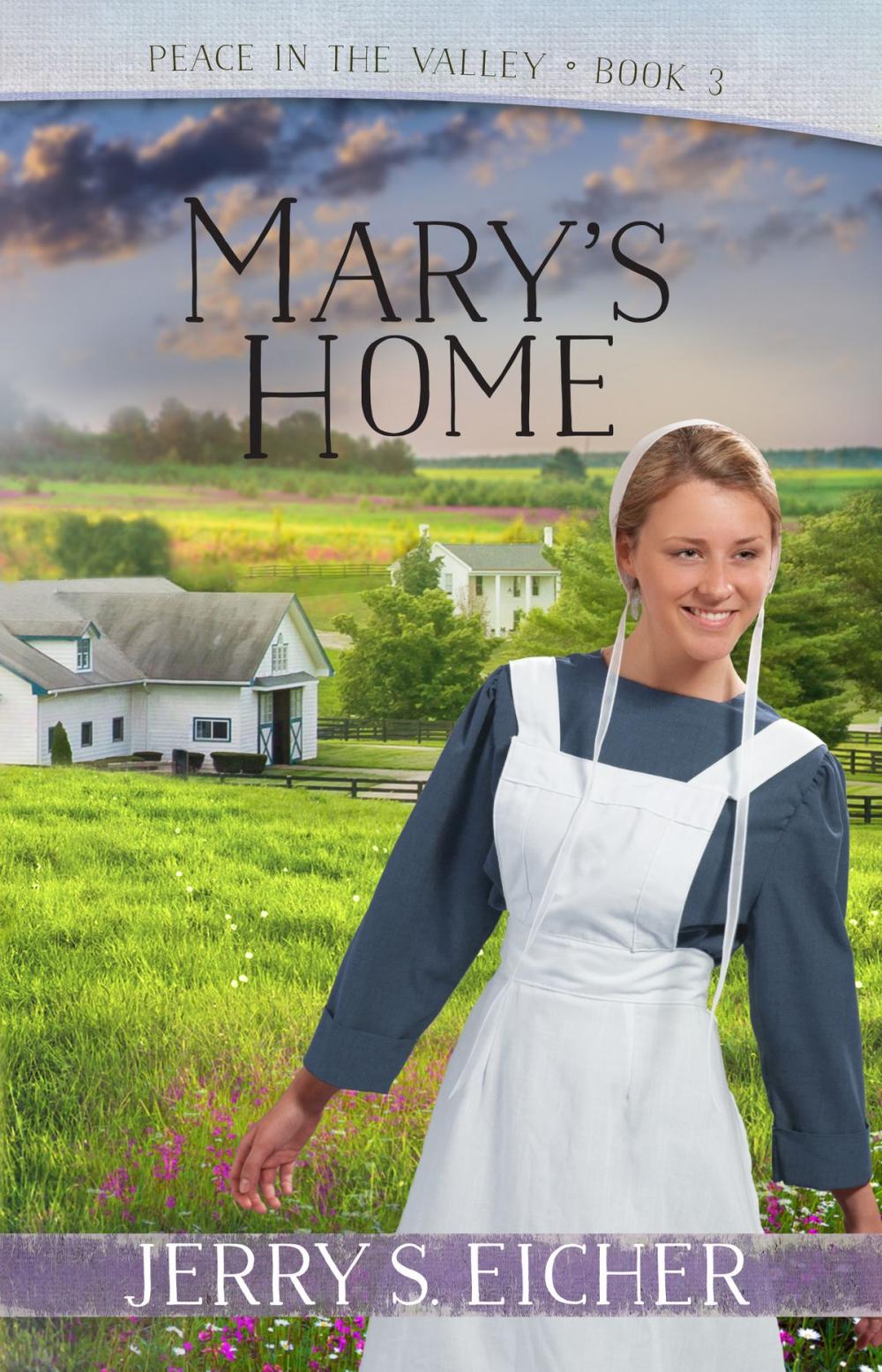 Big bigCover of Mary's Home