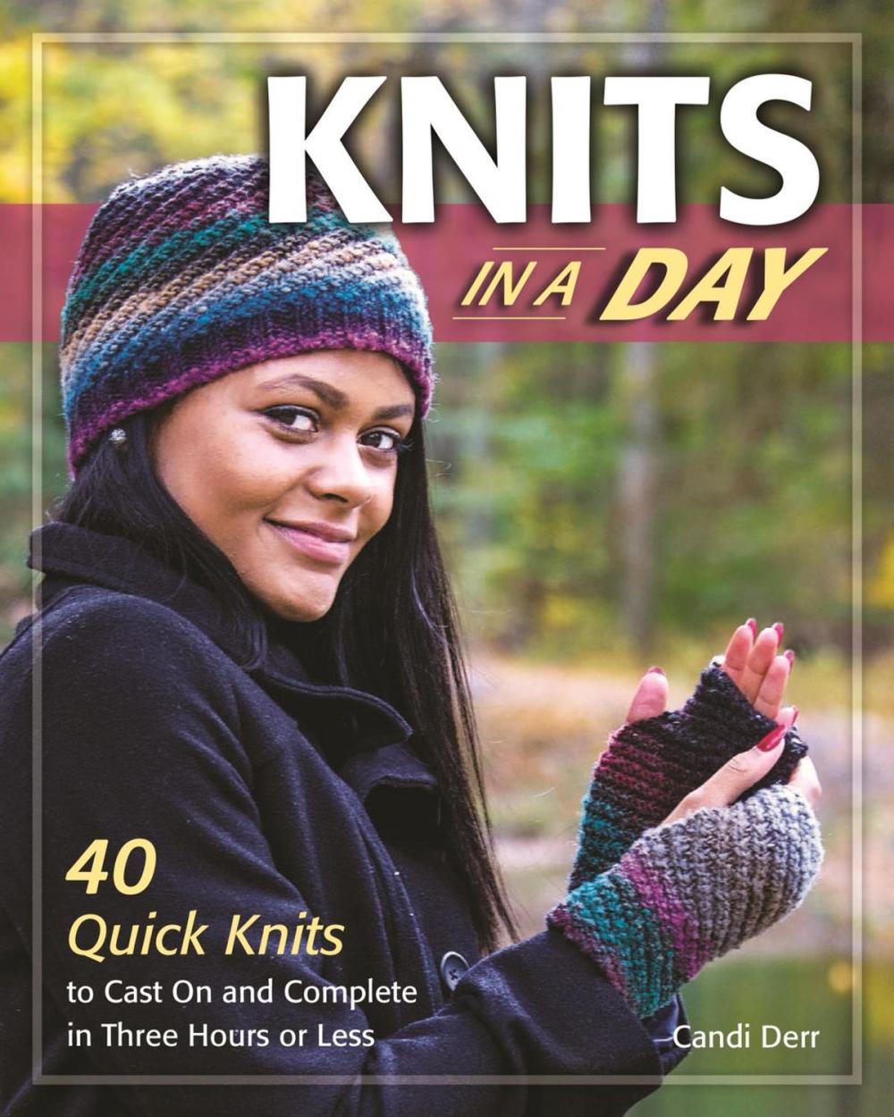 Big bigCover of Knits in a Day