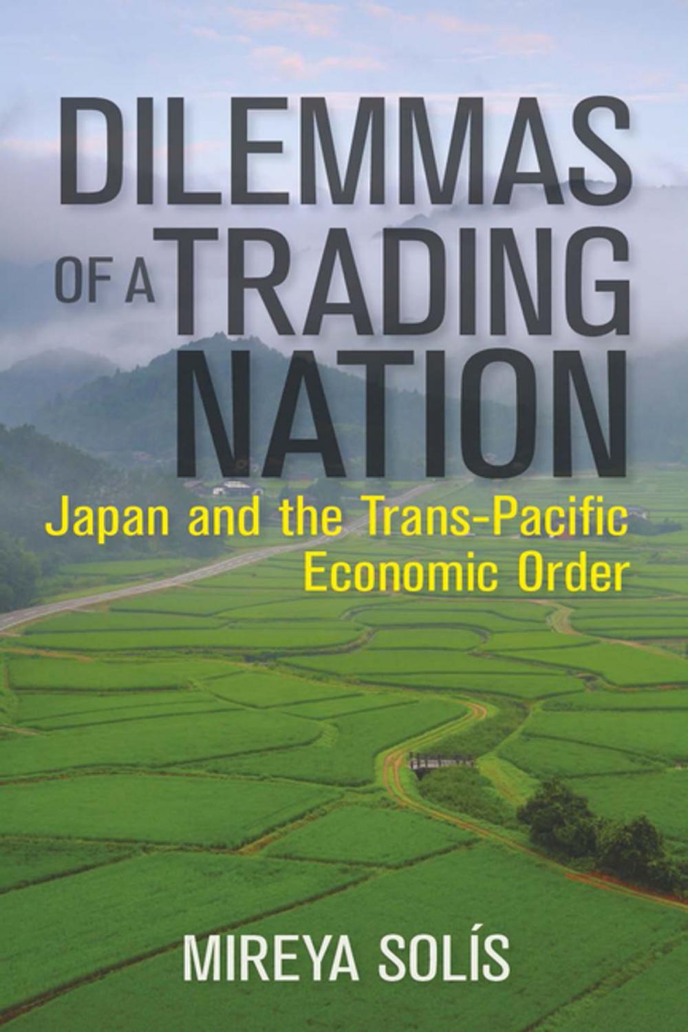 Big bigCover of Dilemmas of a Trading Nation