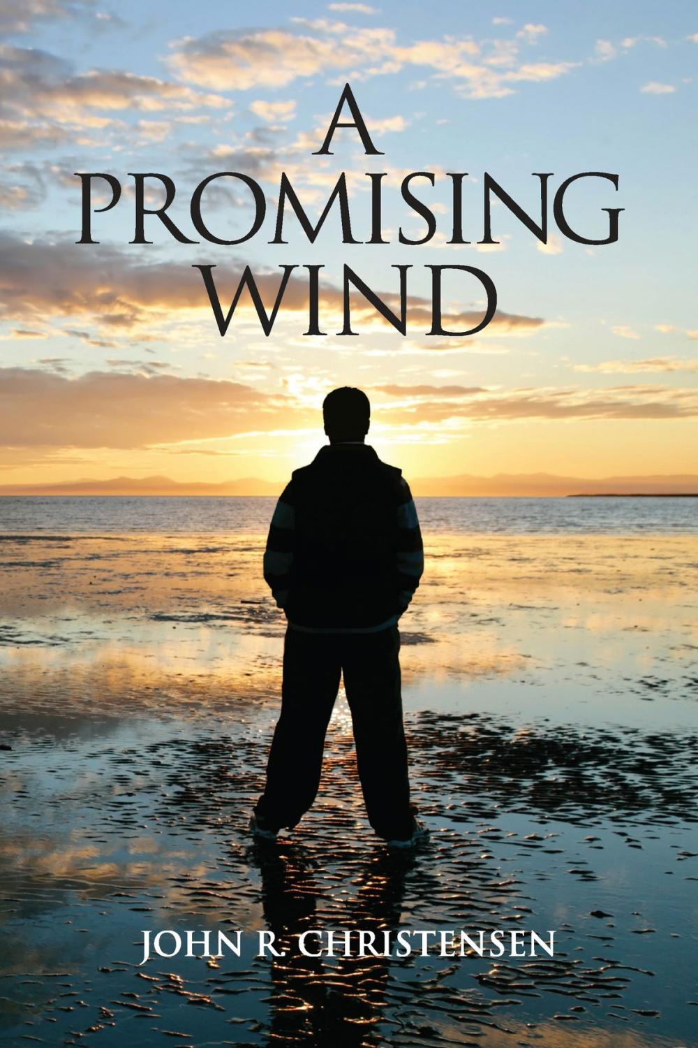Big bigCover of A Promising Wind