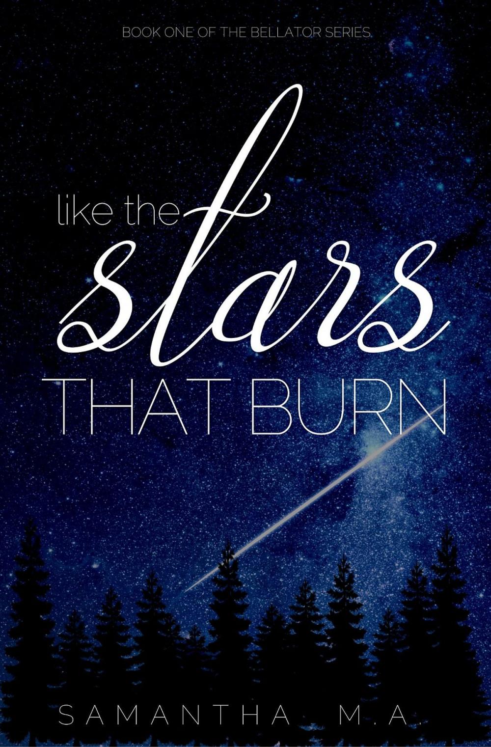 Big bigCover of Like The Stars That Burn