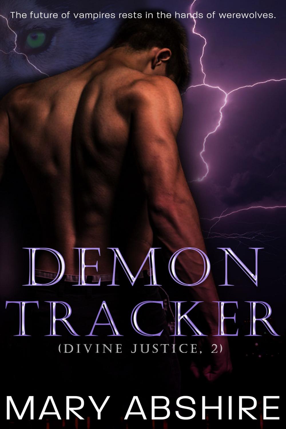 Big bigCover of Demon Tracker (Divine Justice, 2)