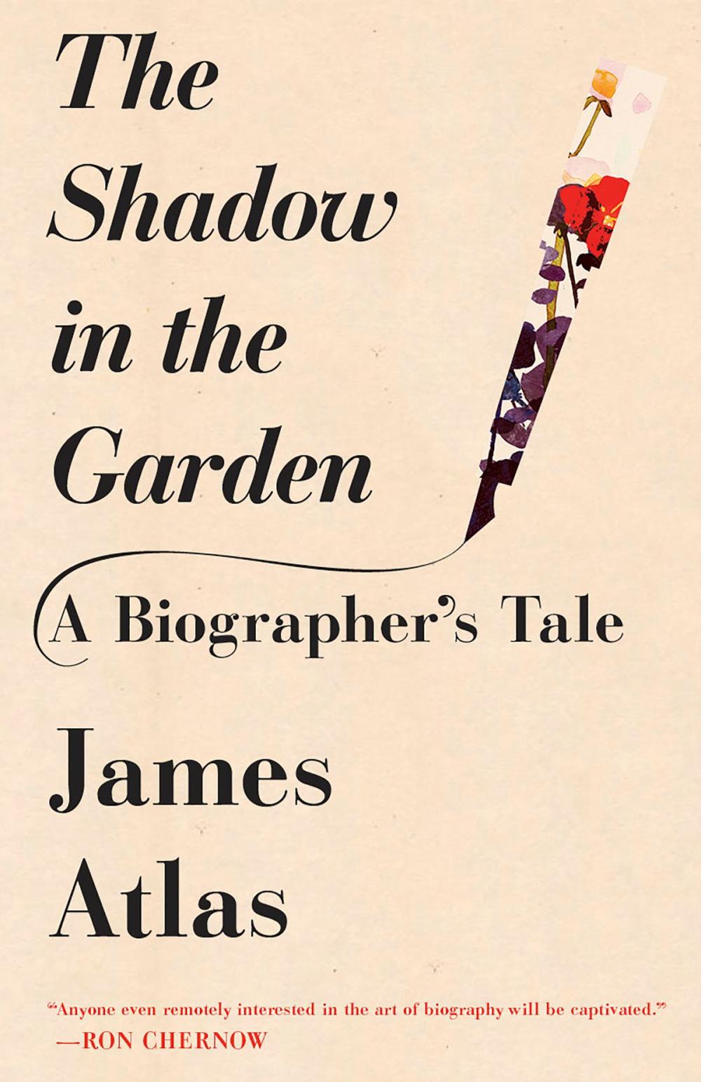 Big bigCover of The Shadow in the Garden