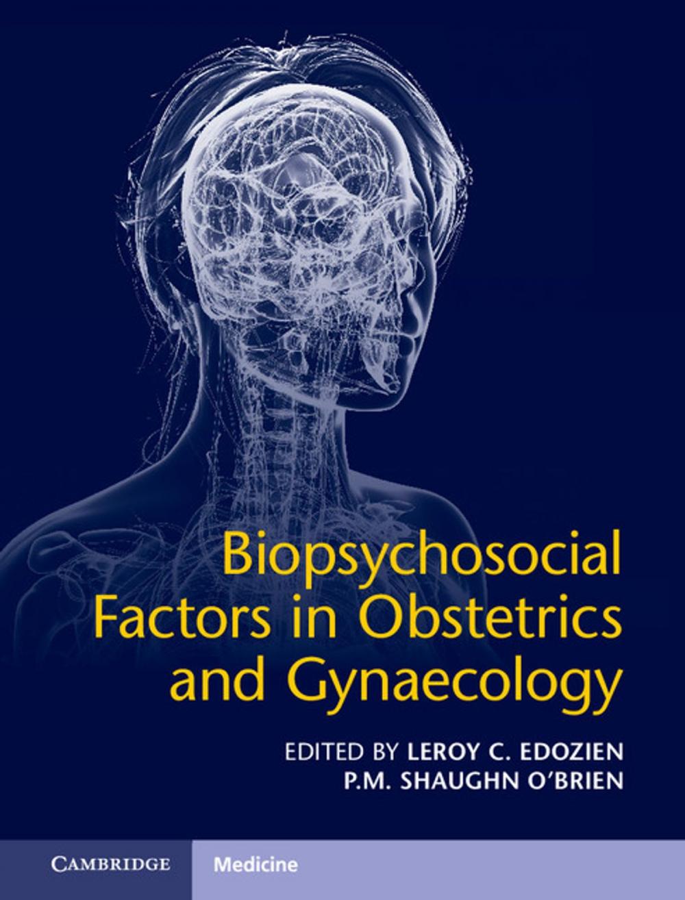 Big bigCover of Biopsychosocial Factors in Obstetrics and Gynaecology