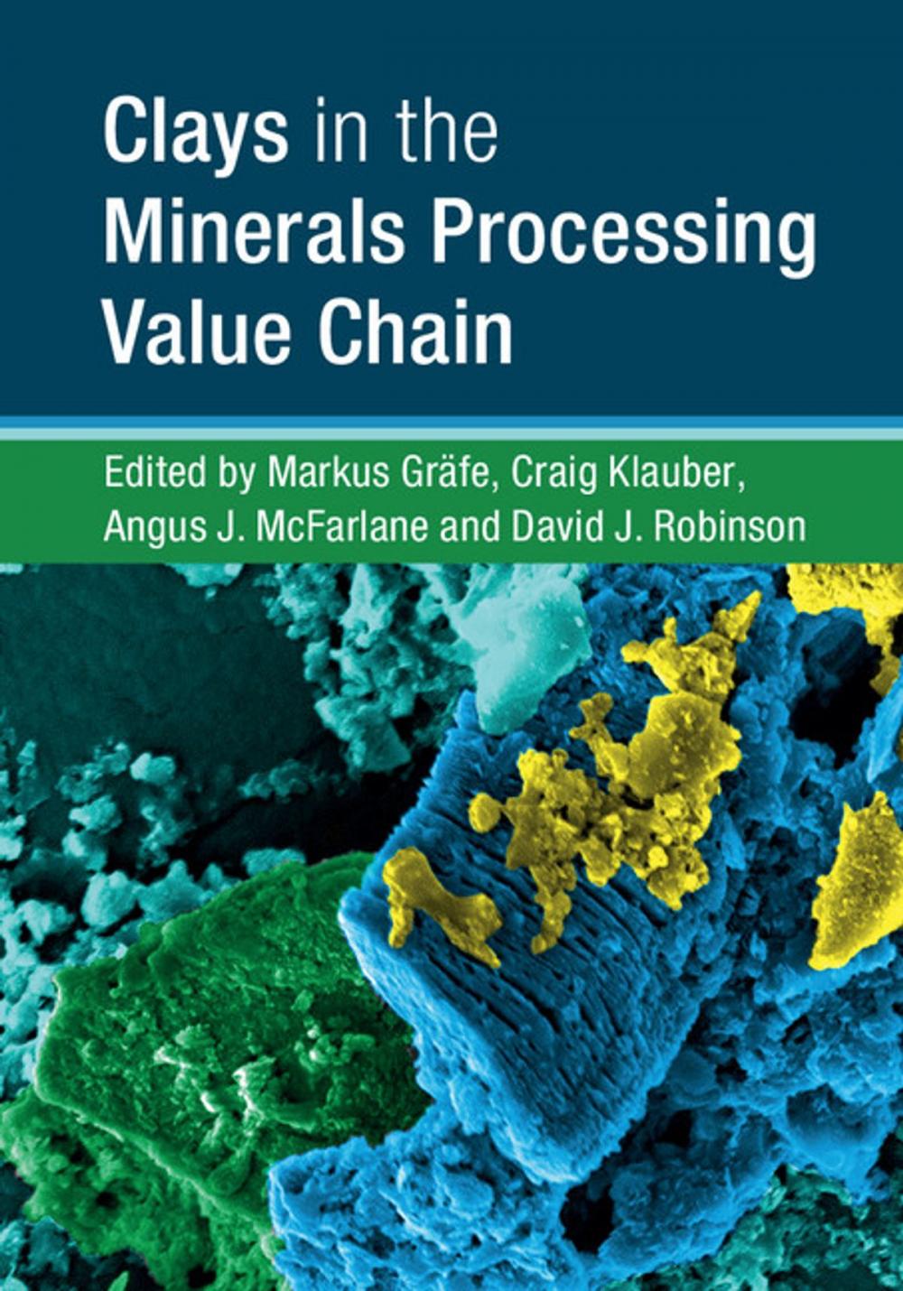 Big bigCover of Clays in the Minerals Processing Value Chain