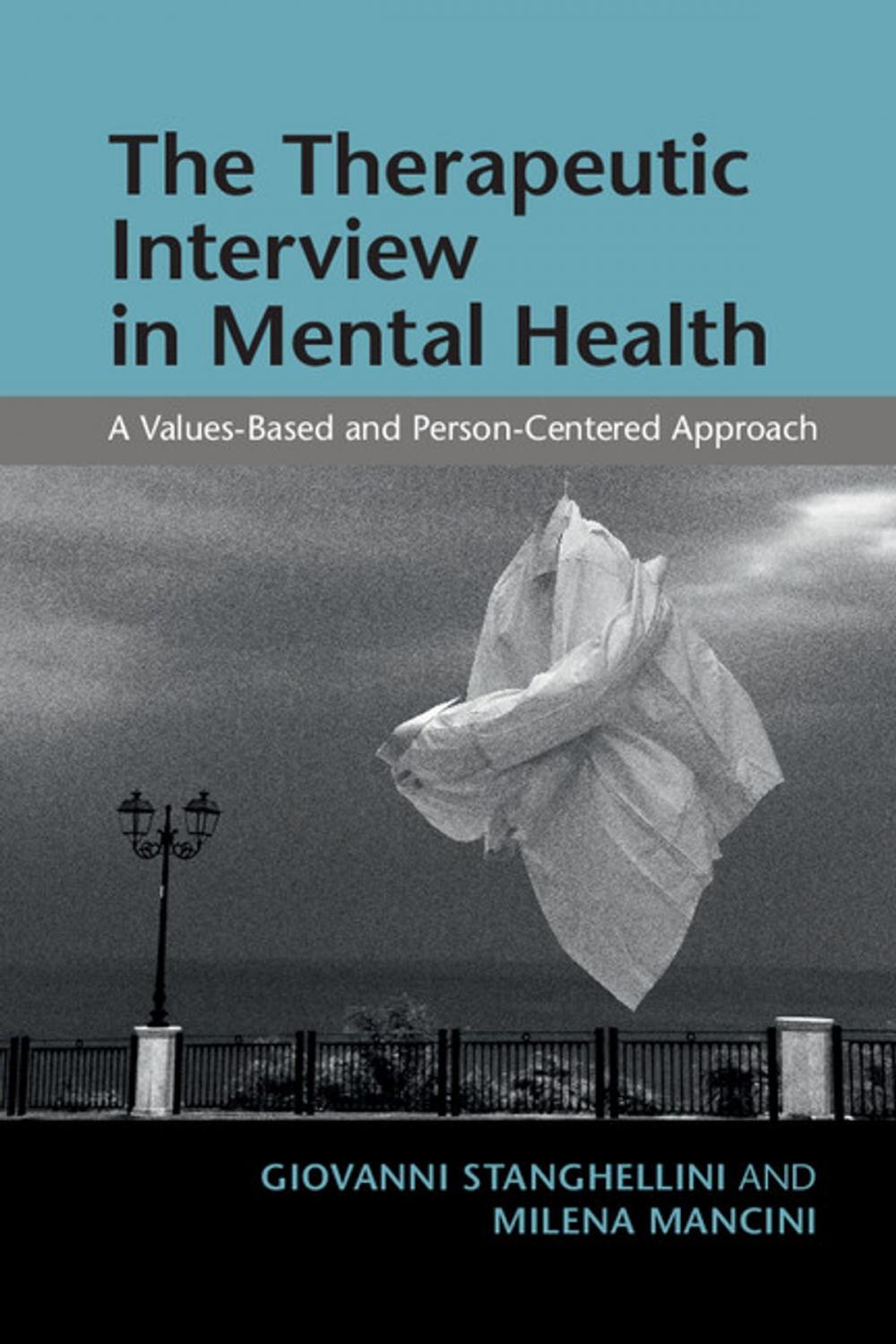 Big bigCover of The Therapeutic Interview in Mental Health