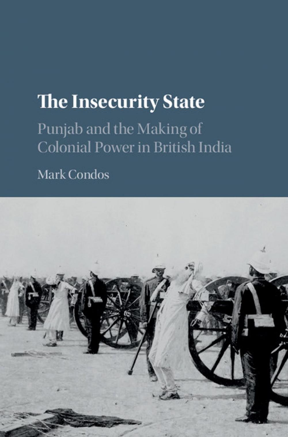 Big bigCover of The Insecurity State