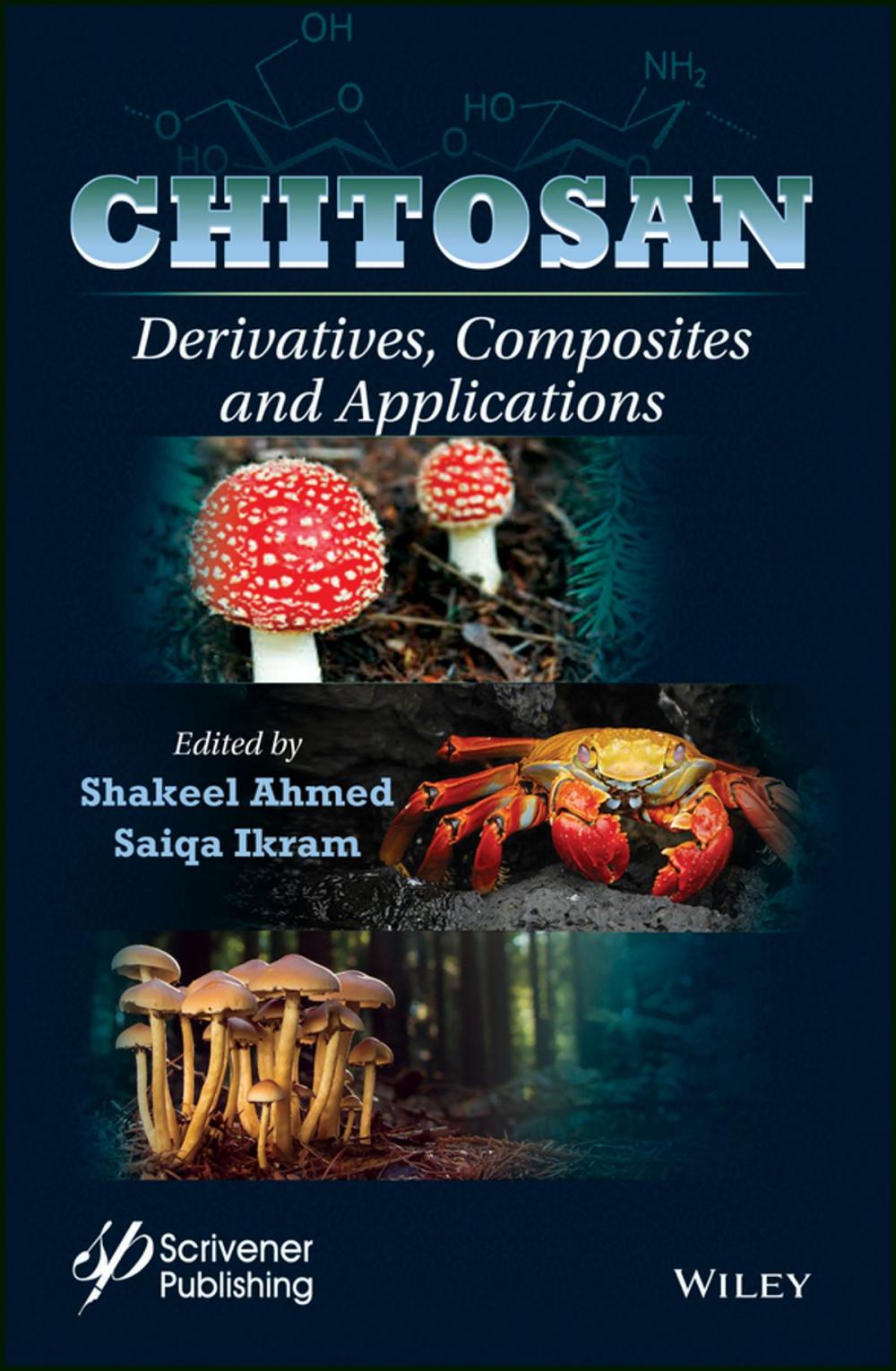 Big bigCover of Chitosan