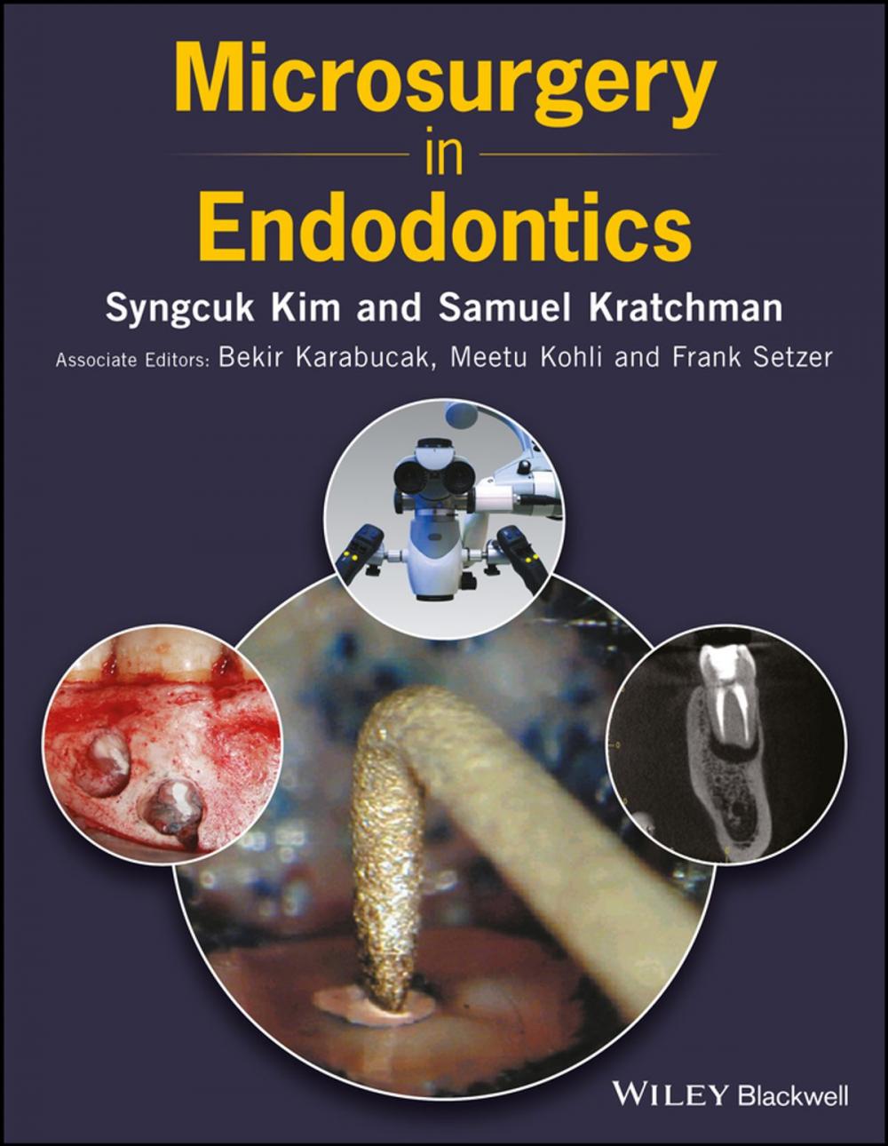 Big bigCover of Microsurgery in Endodontics