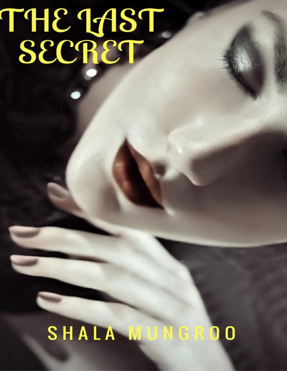 Big bigCover of The Last Secret