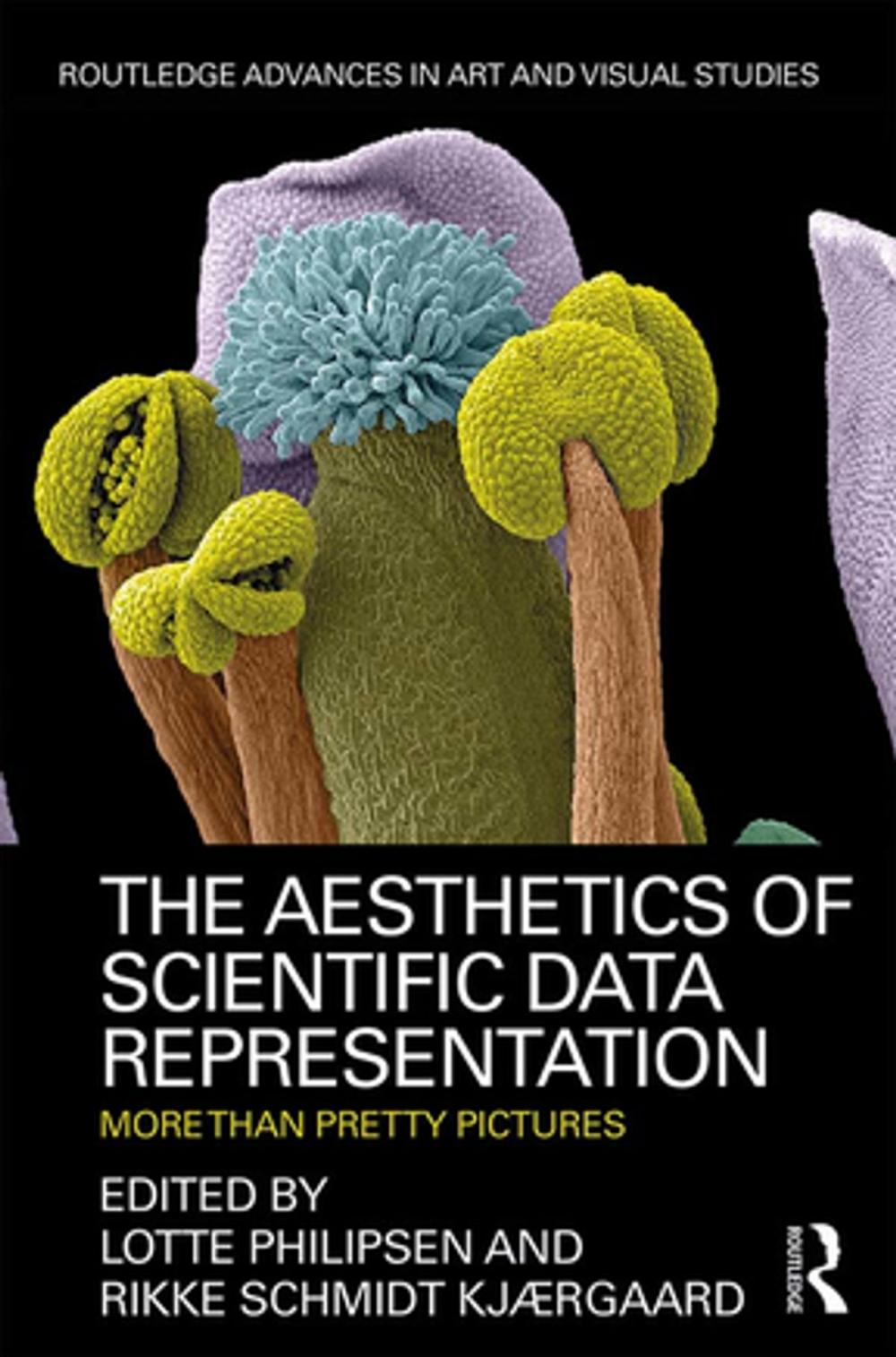 Big bigCover of The Aesthetics of Scientific Data Representation