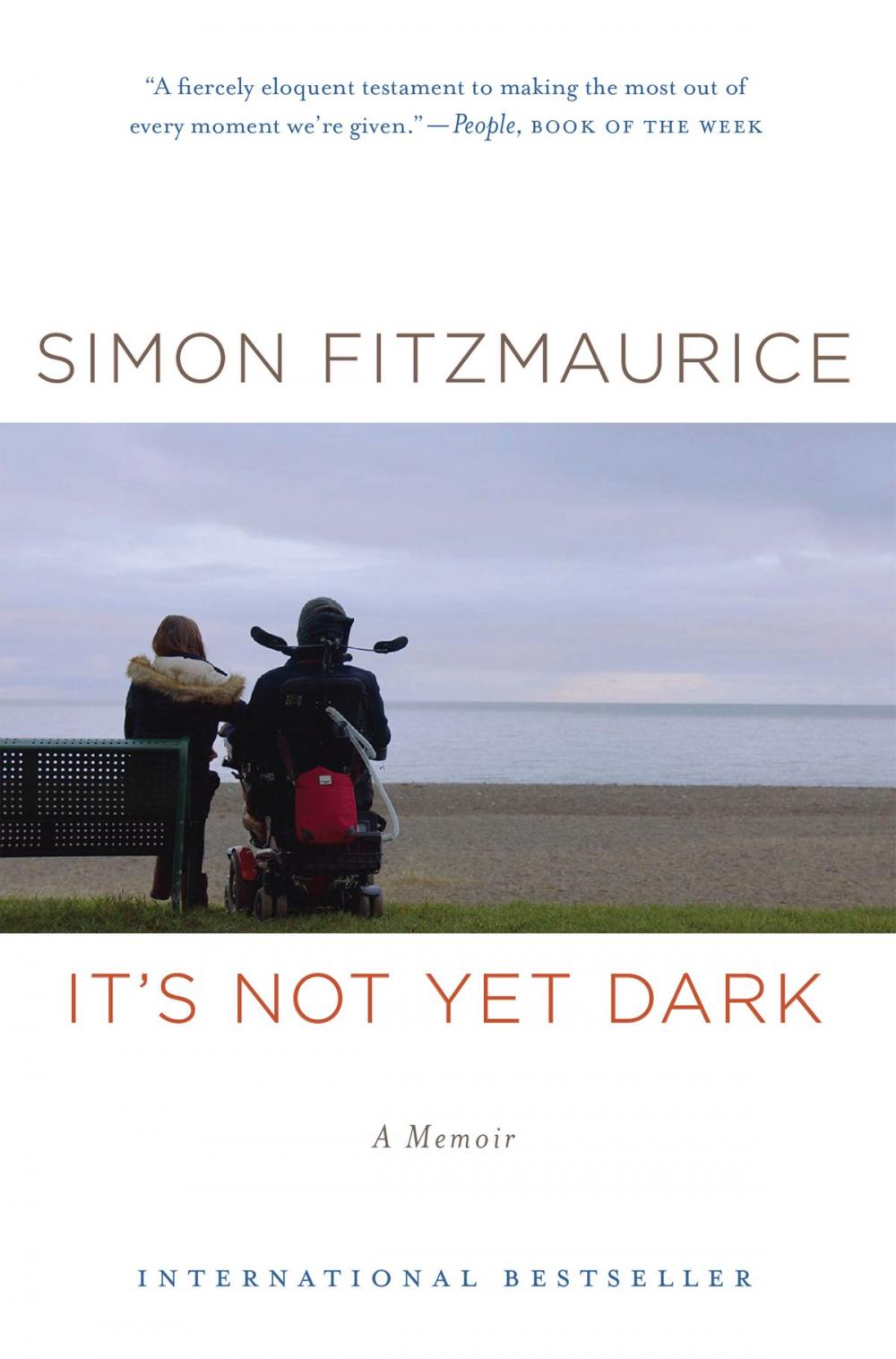 Big bigCover of It's Not Yet Dark