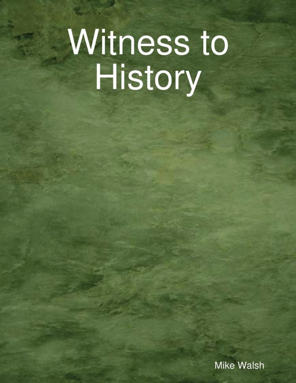 Big bigCover of Witness to History