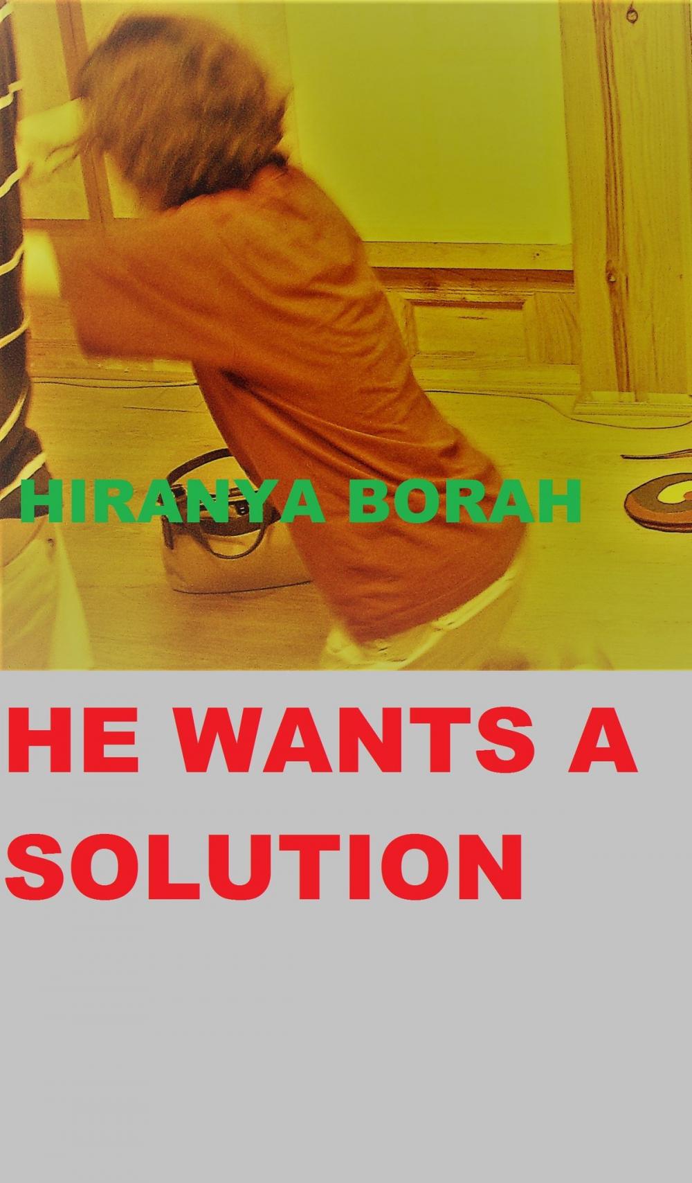 Big bigCover of He Wants a Solution