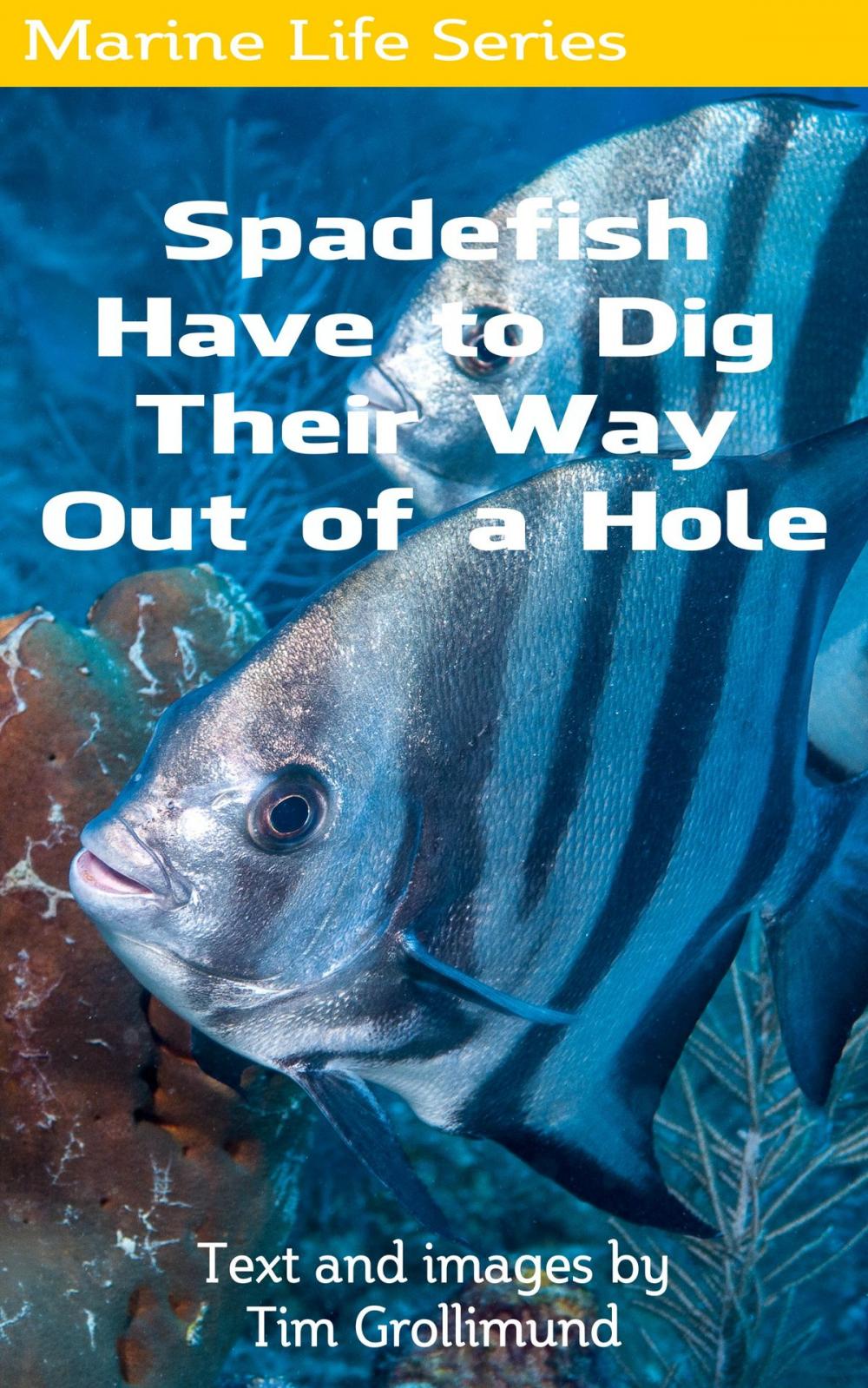 Big bigCover of Spadefish Have to Dig Their Way Out of a Hole