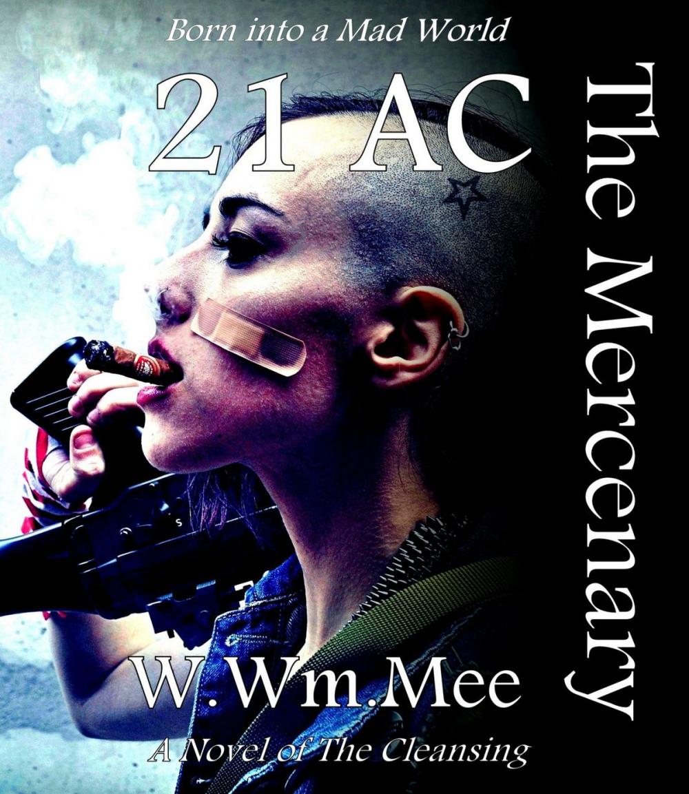 Big bigCover of 21 AC The Mercenary