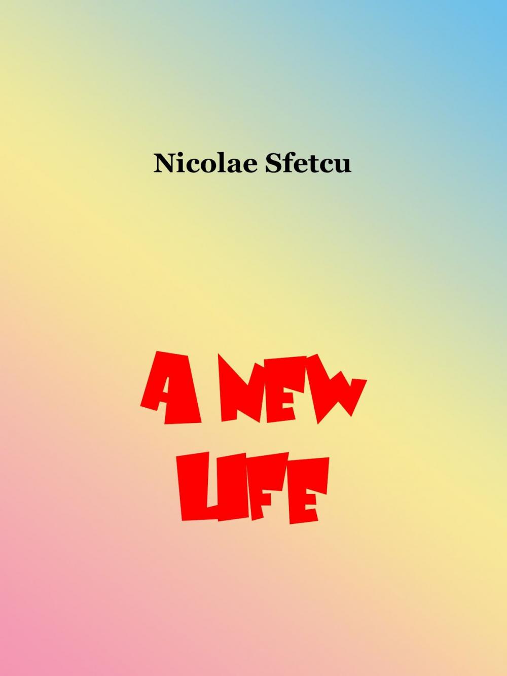 Big bigCover of A New Life