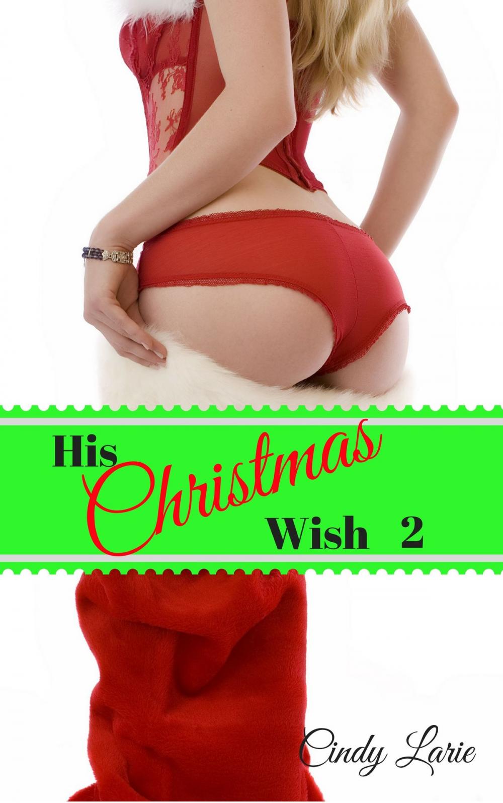 Big bigCover of His Christmas Wish 2