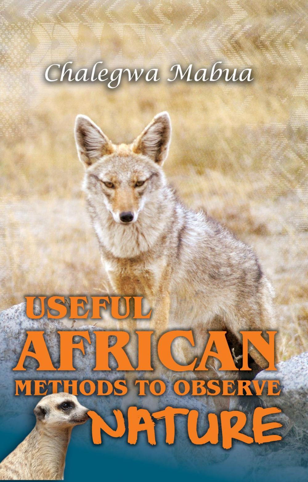 Big bigCover of Useful African Methods To Observe Nature