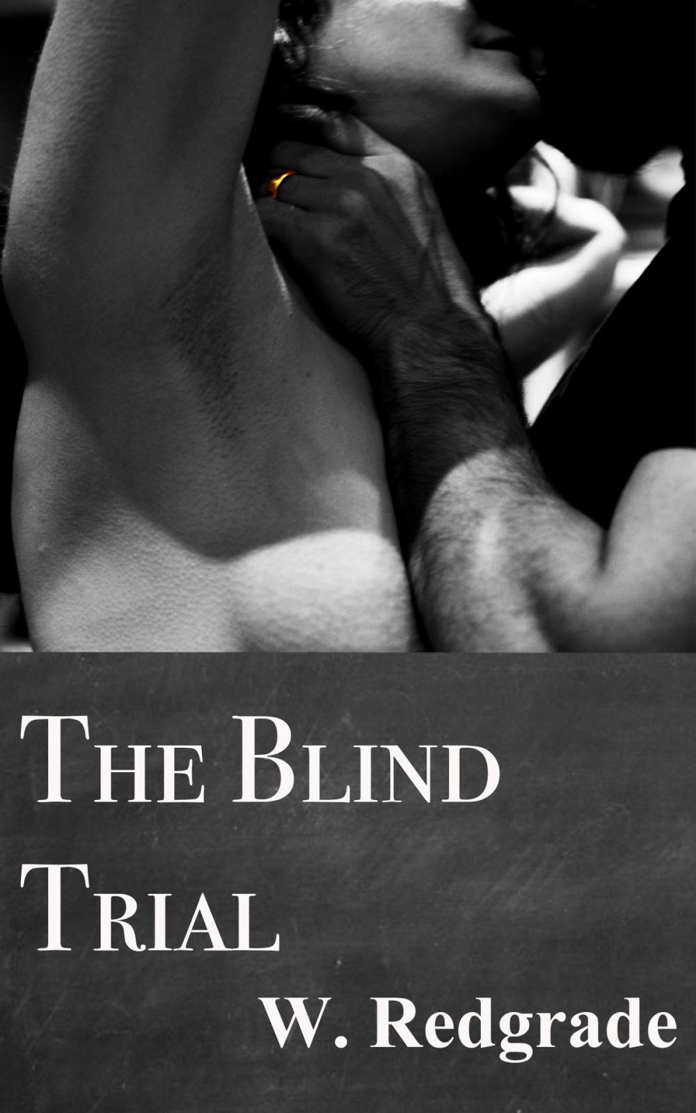 Big bigCover of The Blind Trial