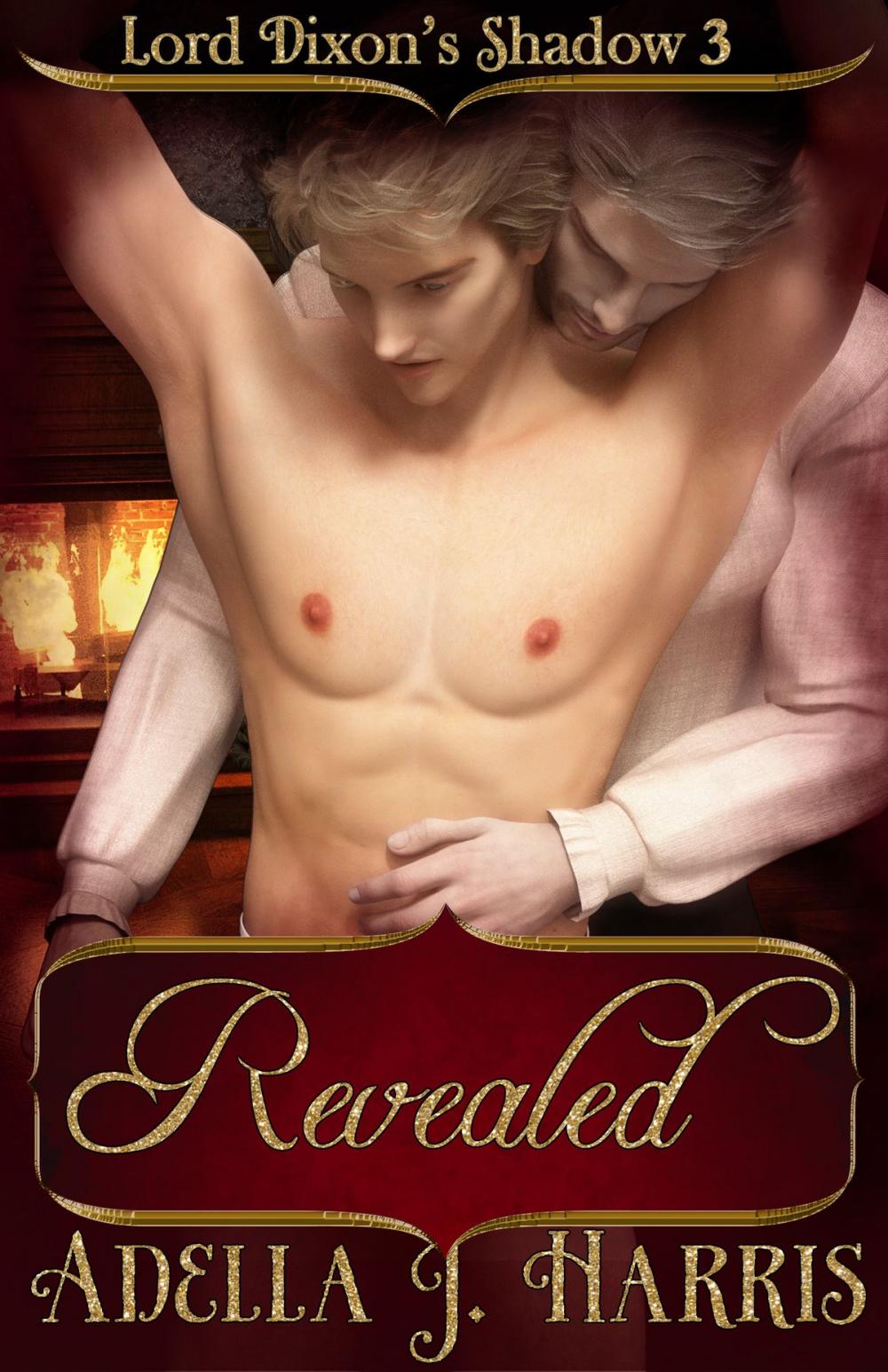 Big bigCover of Revealed