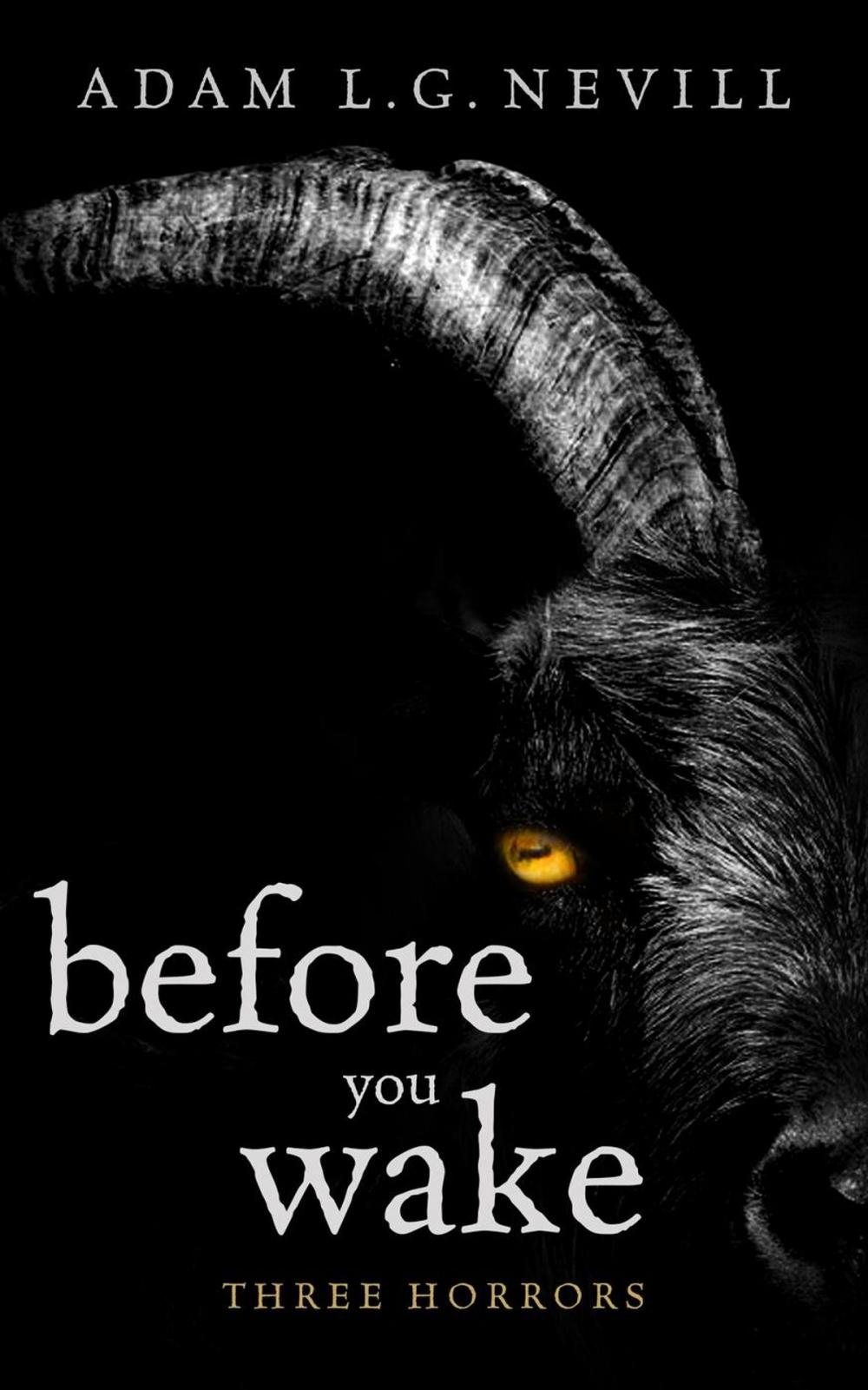 Big bigCover of Before You Wake: Three Horrors