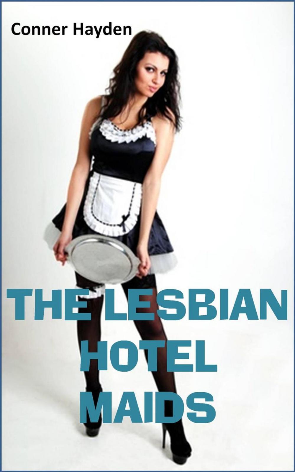 Big bigCover of The Lesbian Hotel Maids