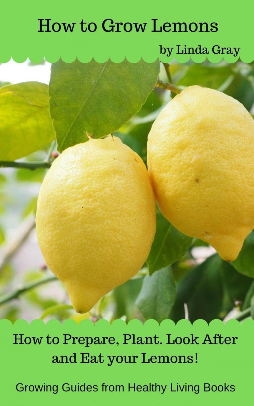 Big bigCover of How to Grow Lemons