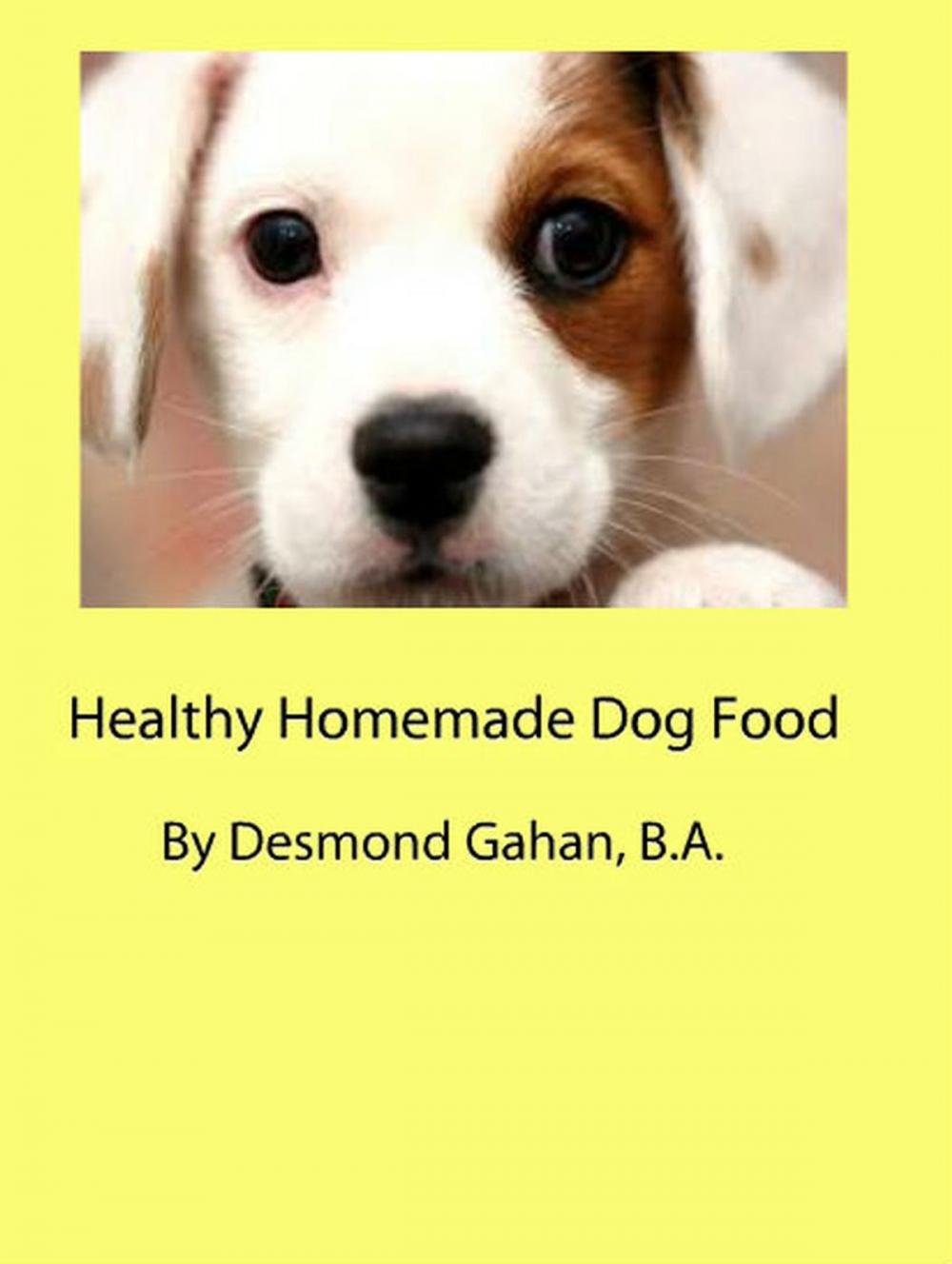 Big bigCover of Healthy Homemade Dog Food