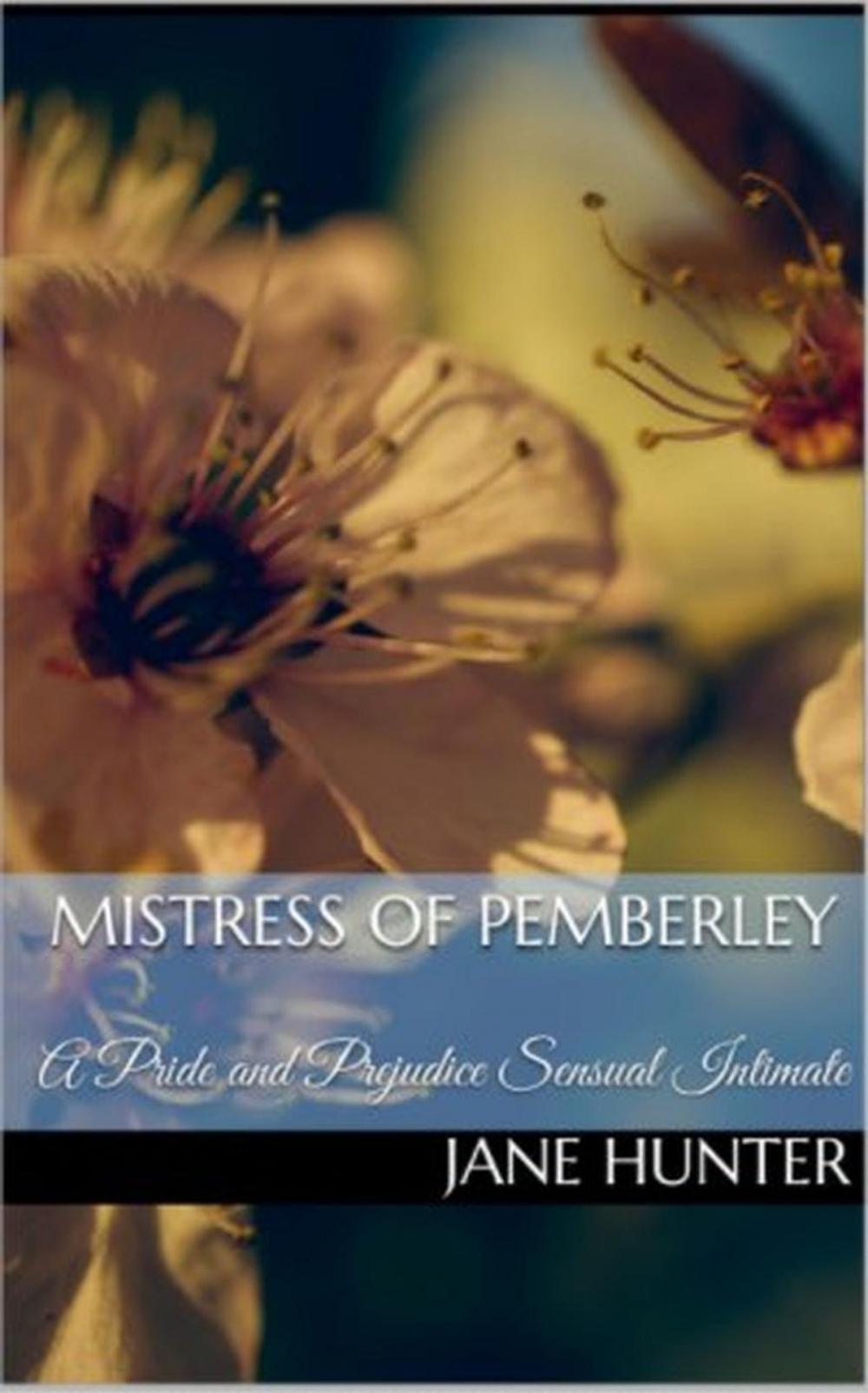 Big bigCover of Mistress of Pemberley: A Pride and Prejudice Sensual Intimate