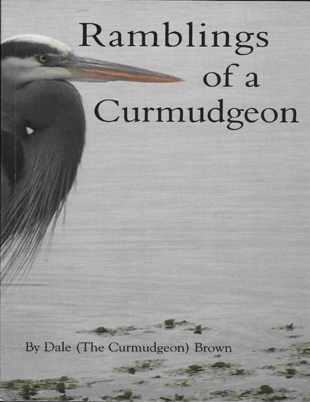 Big bigCover of Ramblings of a Curmudgeon