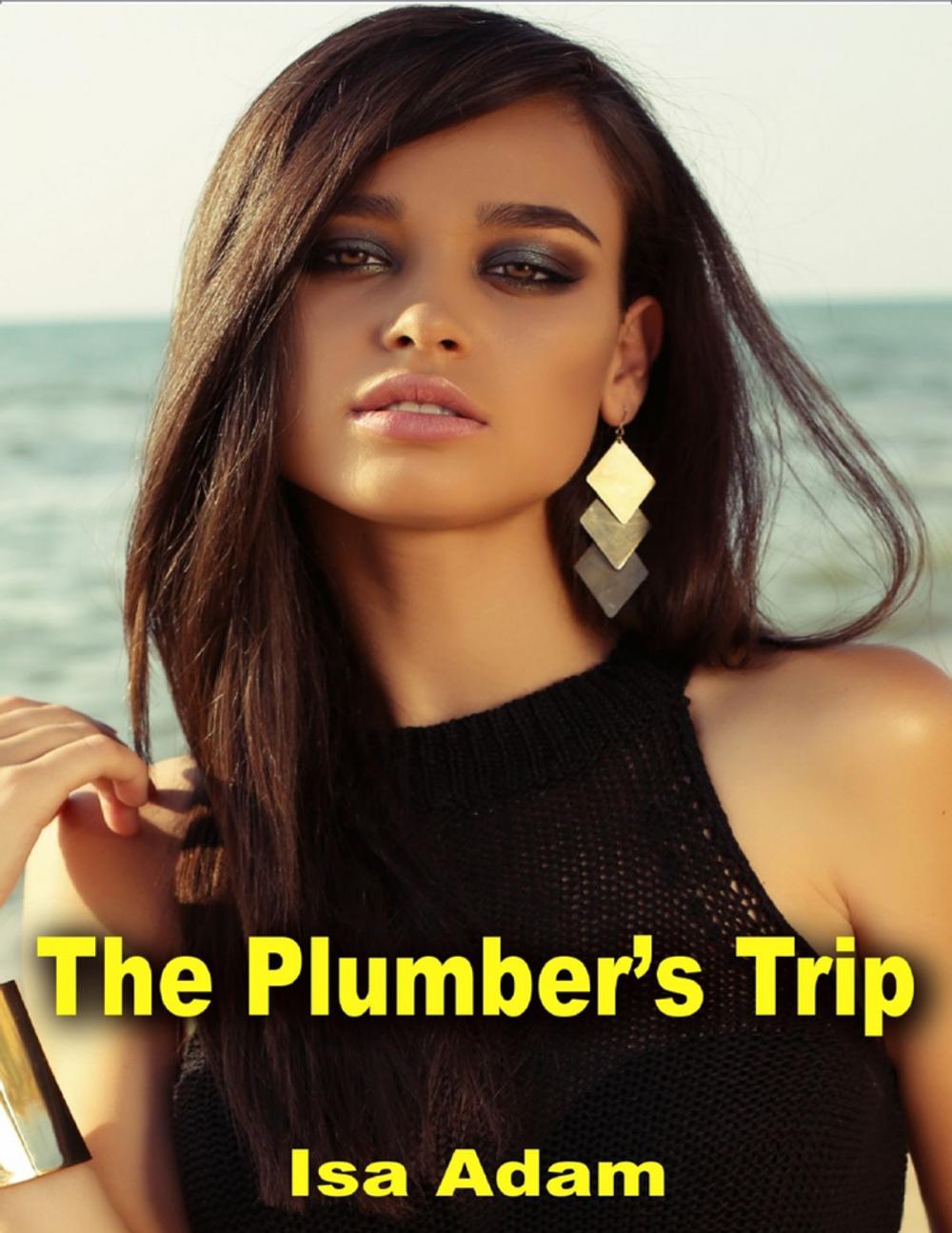 Big bigCover of The Plumber’s Trip