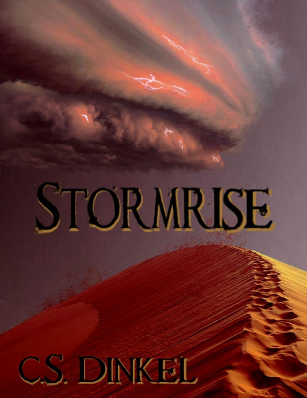 Big bigCover of Stormrise