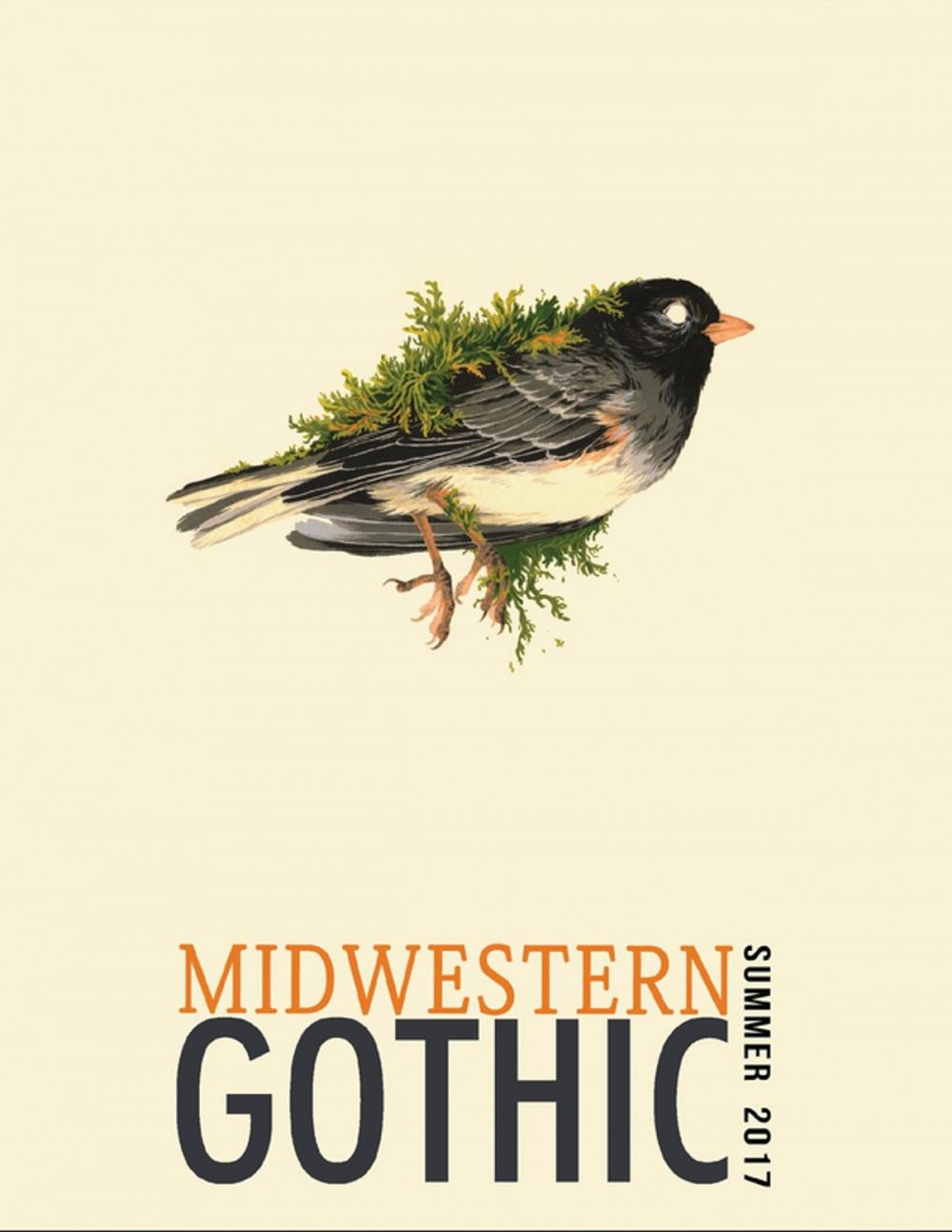 Big bigCover of Midwestern Gothic: Summer 2017