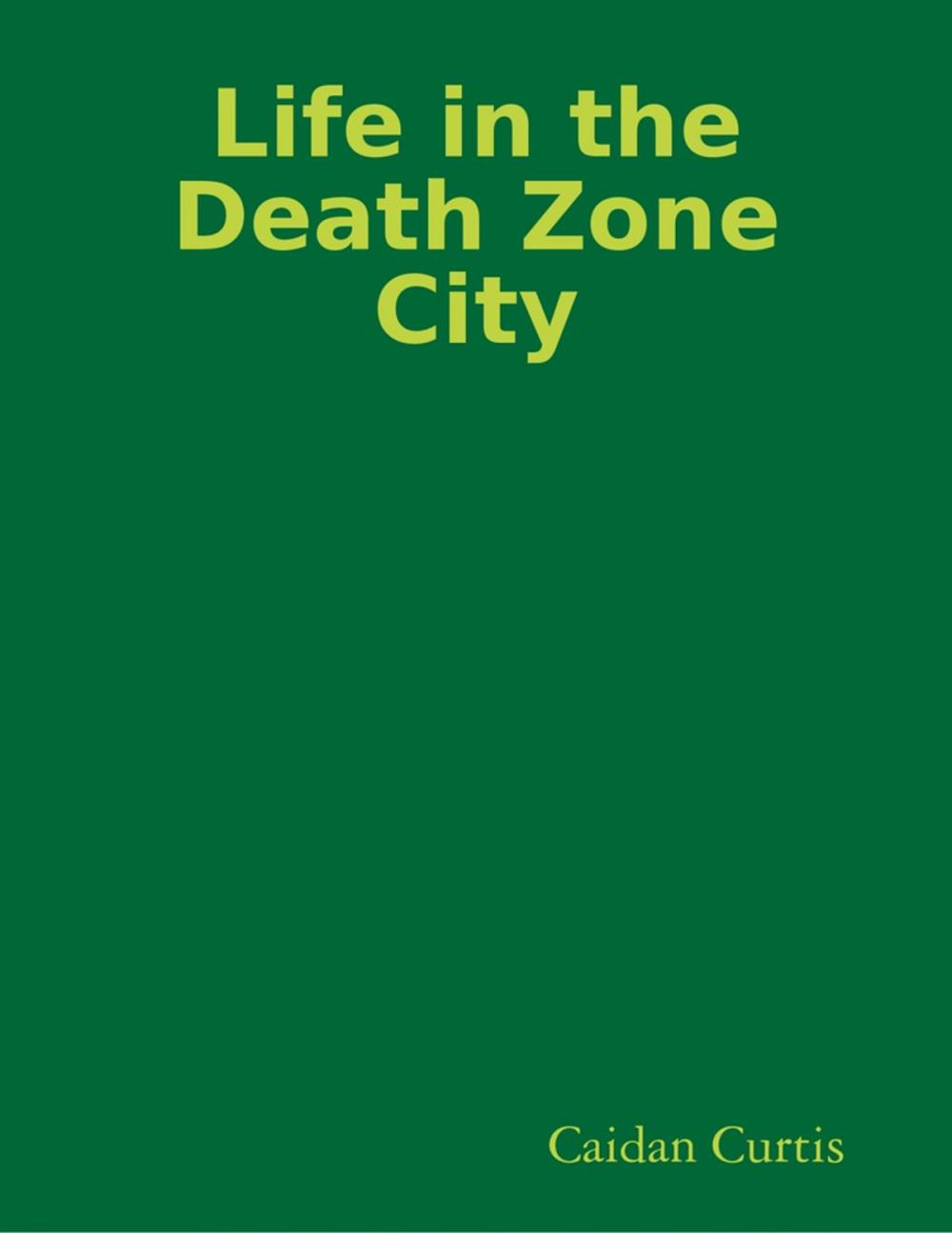 Big bigCover of Life In The Death Zone City