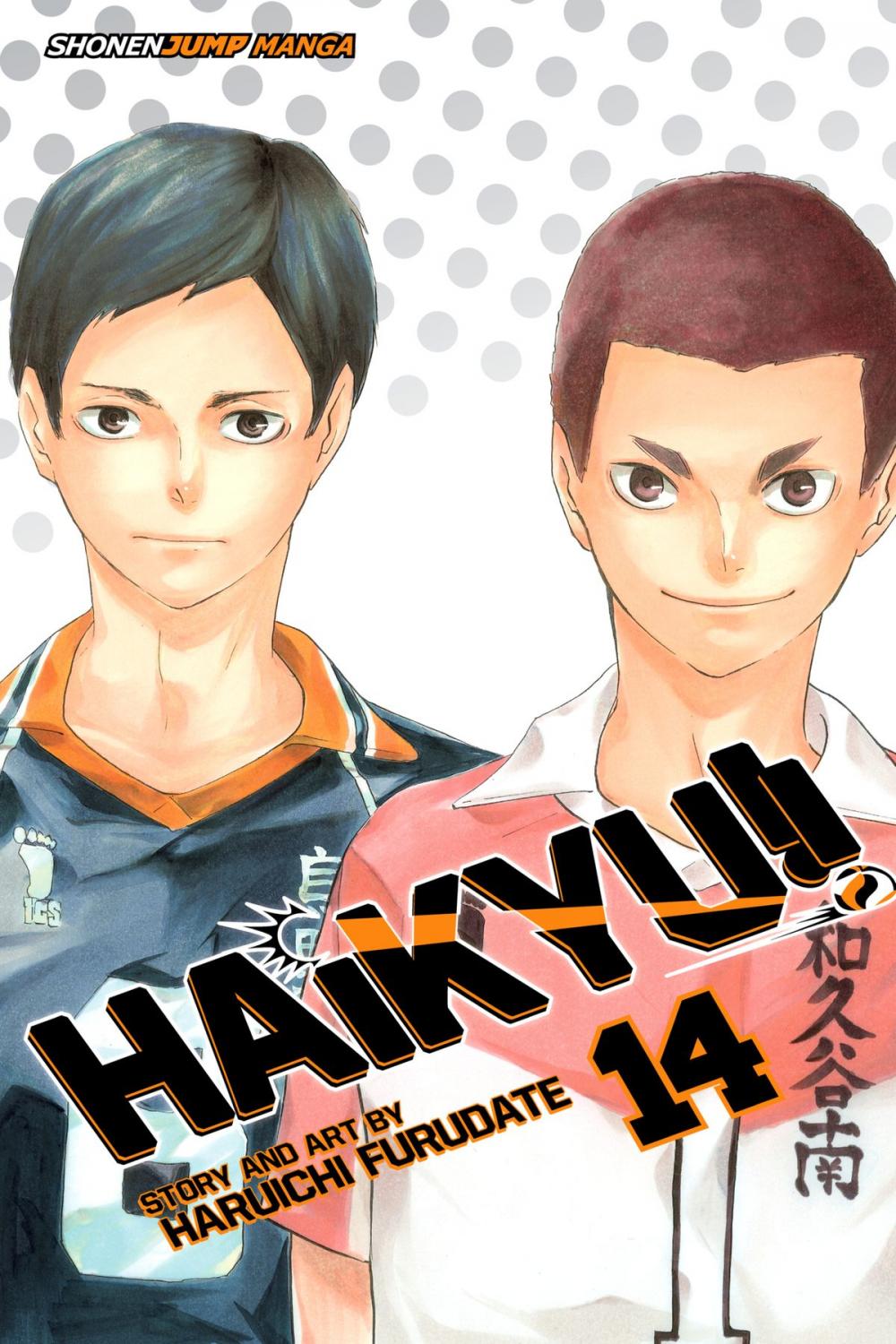 Big bigCover of Haikyu!!, Vol. 14