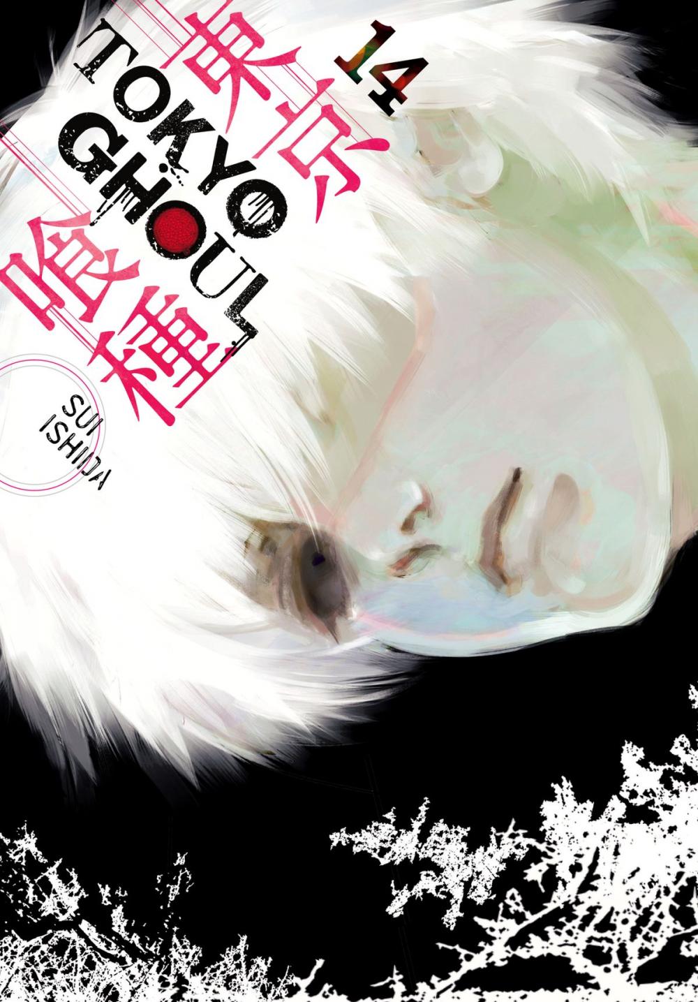 Big bigCover of Tokyo Ghoul, Vol. 14