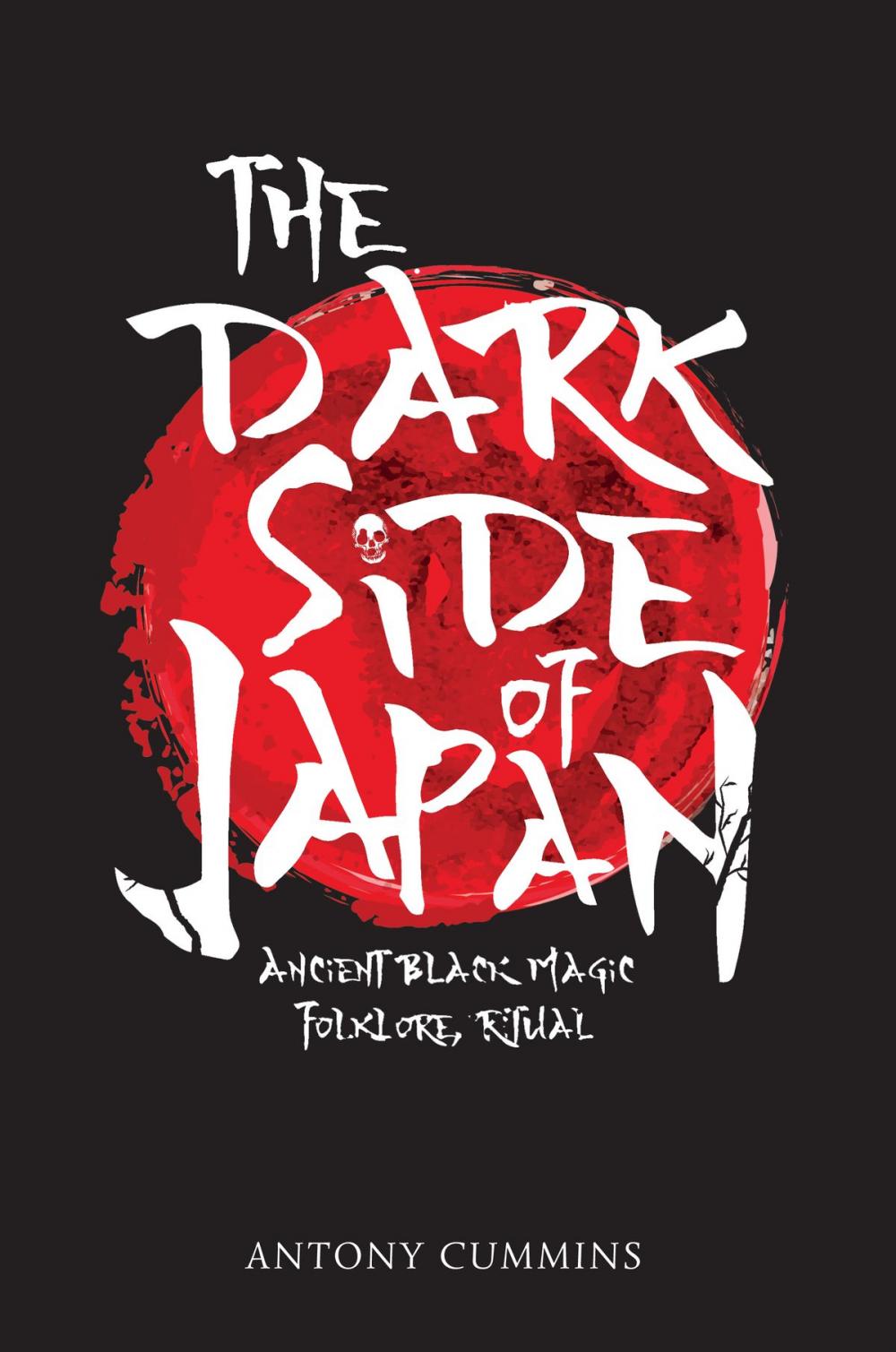 Big bigCover of The Dark Side of Japan