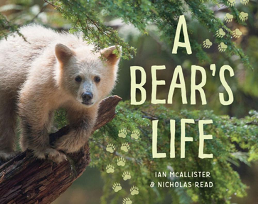 Big bigCover of A Bear's Life