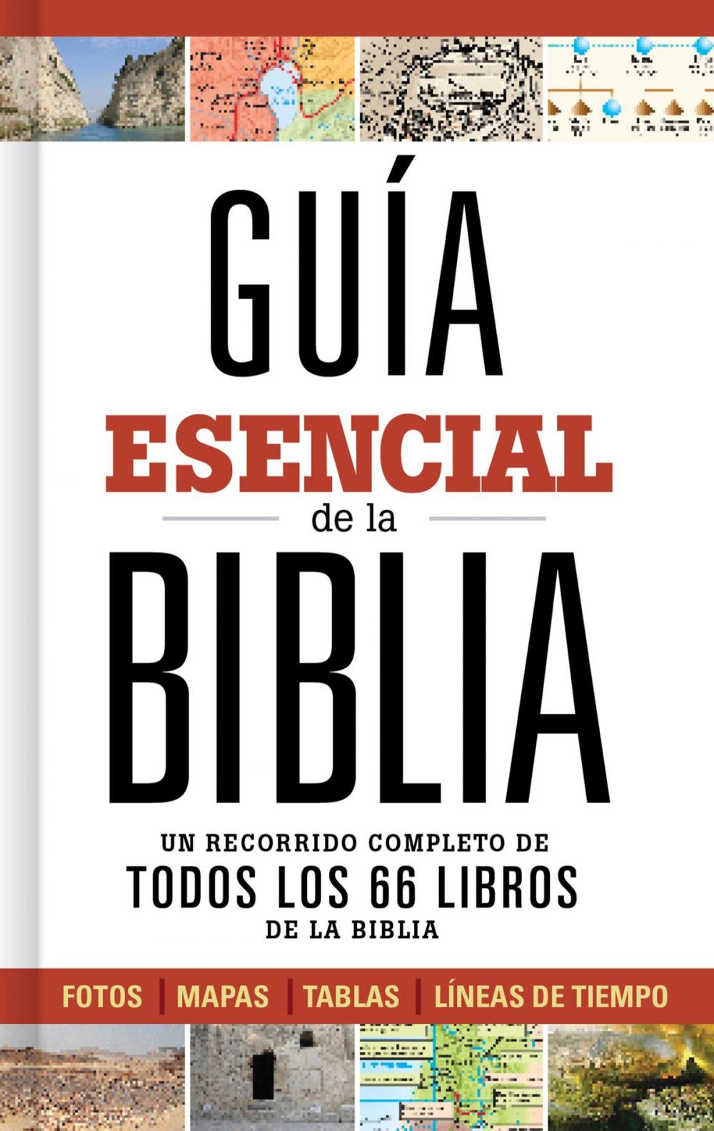 Big bigCover of Guía esencial de la Biblia