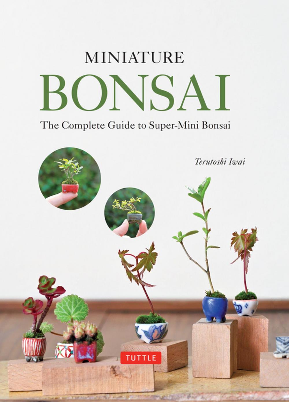 Big bigCover of Miniature Bonsai