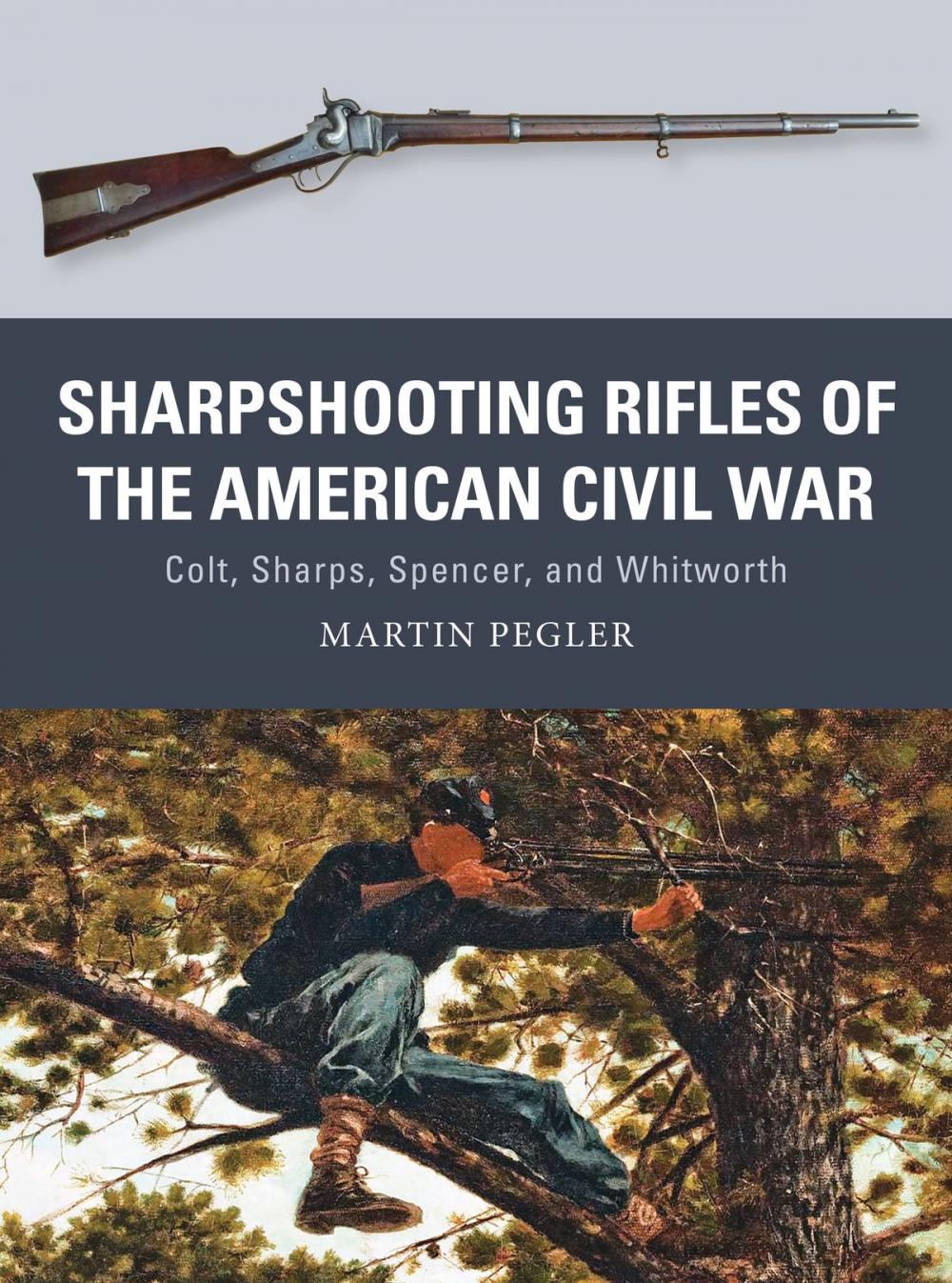 Big bigCover of Sharpshooting Rifles of the American Civil War